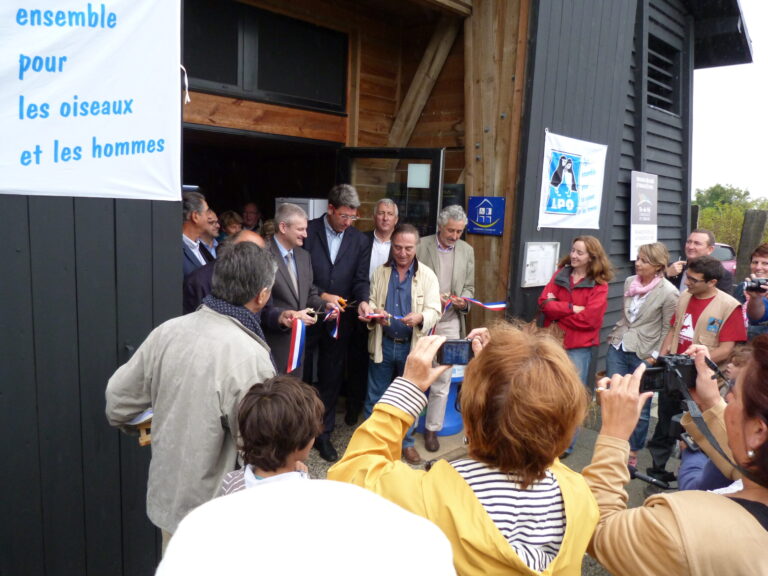 Les Oiseaux 6 sculpture poésie meslin artiste