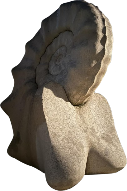 Oeuvre publique Ammonite Céleste