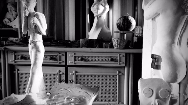 Ecosystème de Jean-Marie MESLIN 49