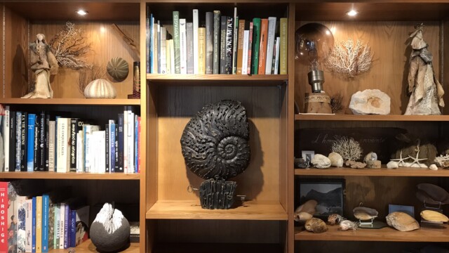 Ecosystème de Jean-Marie MESLIN 47