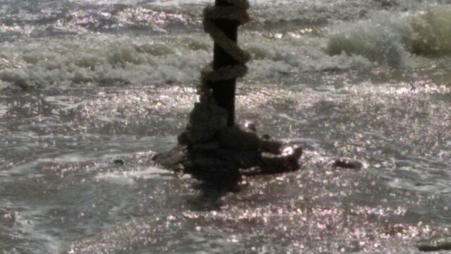 Atelier Personnes en situation de handicap 14