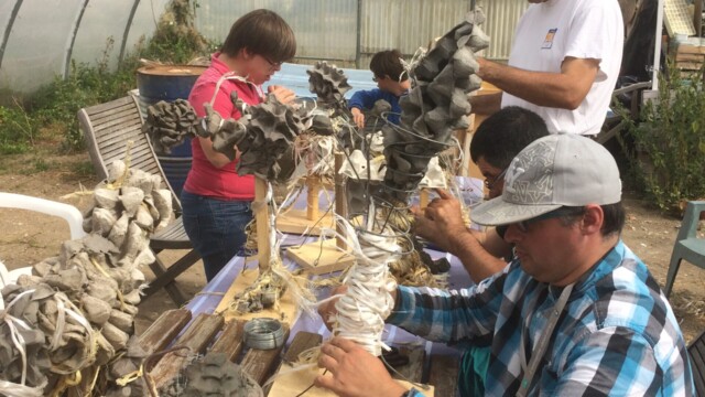 Atelier Personnes en situation de handicap 43