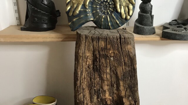 Ecosystème de Jean-Marie MESLIN 22