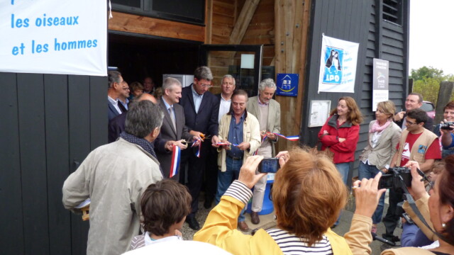Les Oiseaux 6 sculpture poésie meslin artiste