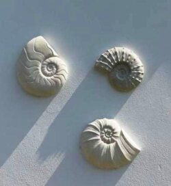 Univers pierre Trilogie Rivedousaise