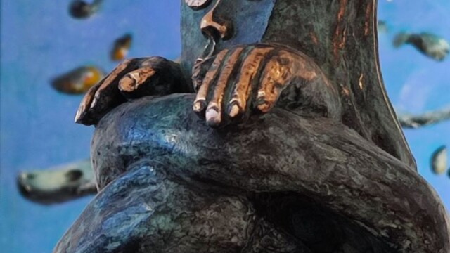 Ecosystème de Jean-Marie MESLIN 51